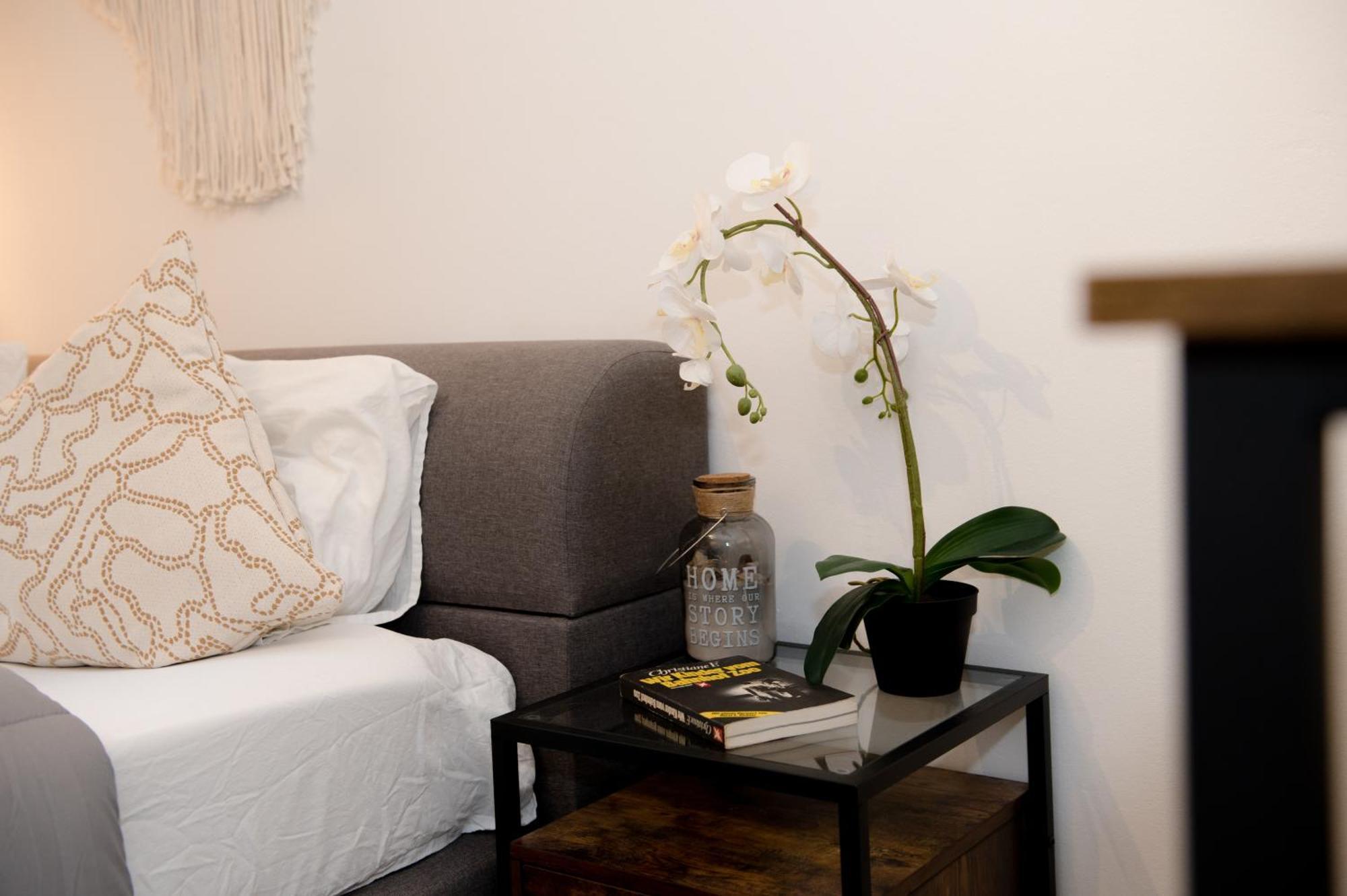 Entire Tulum Apartment, In The Center Of เวียนนา ภายนอก รูปภาพ